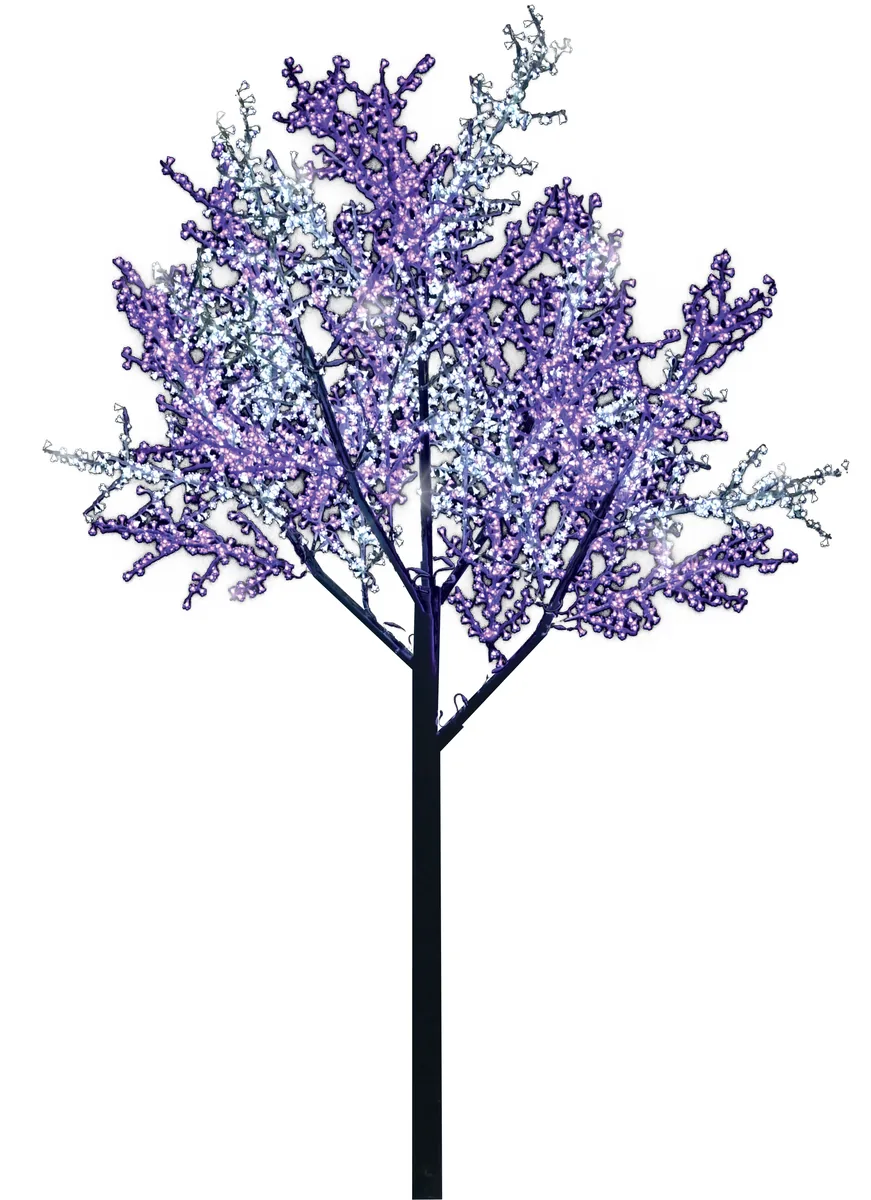 Cerisier en fleurs