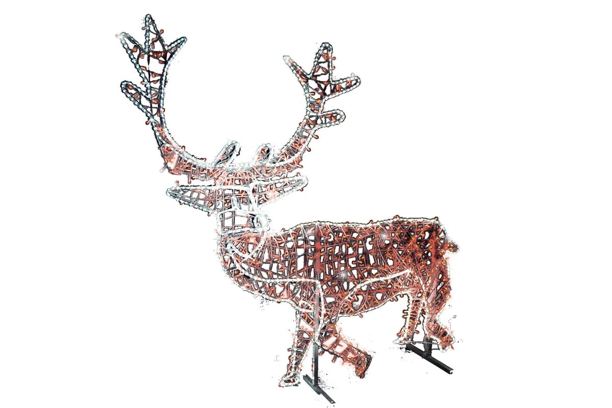 Jojo le grand cerf