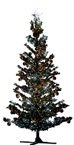 Sapin Sapissime