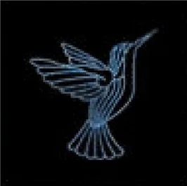 Colibri bleu