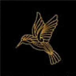 Colibri doré en vol