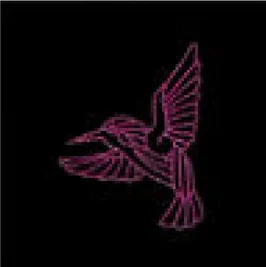 Colibri rose en vol