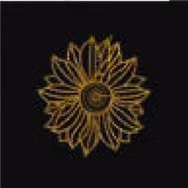 Tournesol doré