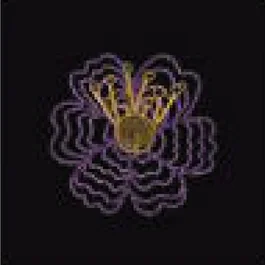 Grande fleur violette étamines dorées