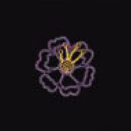 Petite fleur violette étamines dorées