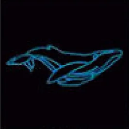 Baleine bleue