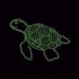 Tortue marine verte