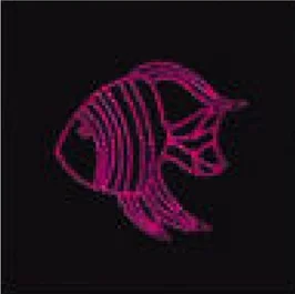 Poisson-ange rose