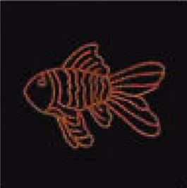 Poisson rouge orangé