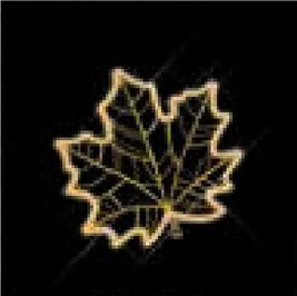 Feuille d'érable