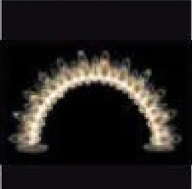 Arche aux pétales lumineux