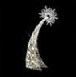Étoile filante blanche