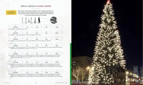 Arbres végétaux Grande échelle