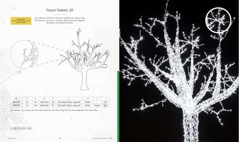 Noyer Nature 3D