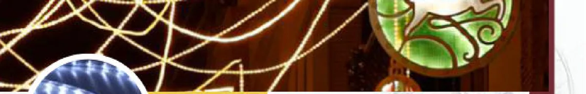 Cordon Lumineux ILMEX-LED tube transparent 230V (coupe 1 m)