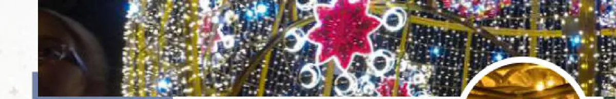 Guirlande Lumineuse ILMEX-LED 12 m 3 sections 230V câble caoutchouc LED fixe