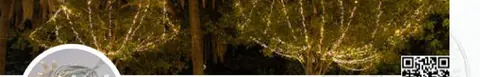Guirlande lumineuse Bicolor Flash ILMEX-LED 20 m 2 sections 230V câble caoutchouc