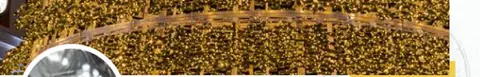Guirlande lumineuse Flash ILMEX-LED 10 m 2 sections 24V câble caoutchouc