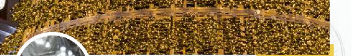 Guirlande lumineuse Flash ILMEX-LED 10 m 2 sections 24V câble caoutchouc