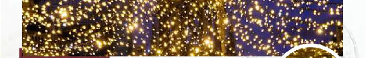 Rideau lumineux Cluster Flash ILMEX-LED