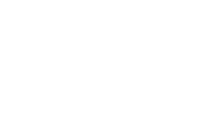 BRO Brumisation