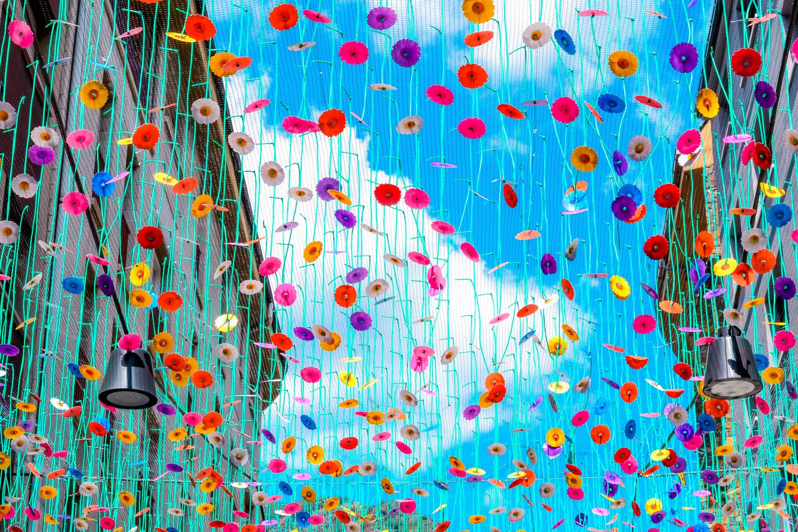 Plafond climatique Ximénez vu d'en dessous : fleurs colorées suspendues sur un ciel bleu d'été